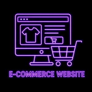 Professional e-commerce website development services